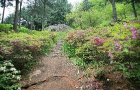 남양주 가볼만한곳 - 축령산자연휴양림