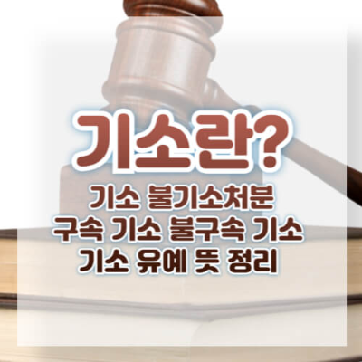 기소, 불기소처분, 구속 기소, 불구속 기소, 기소 유예, 불기소처분의 원인, 형사 법절차, 법적 책임, 법원 재판, 범죄 경미성, 증거 부족, 피의자 반성, 형사 재판