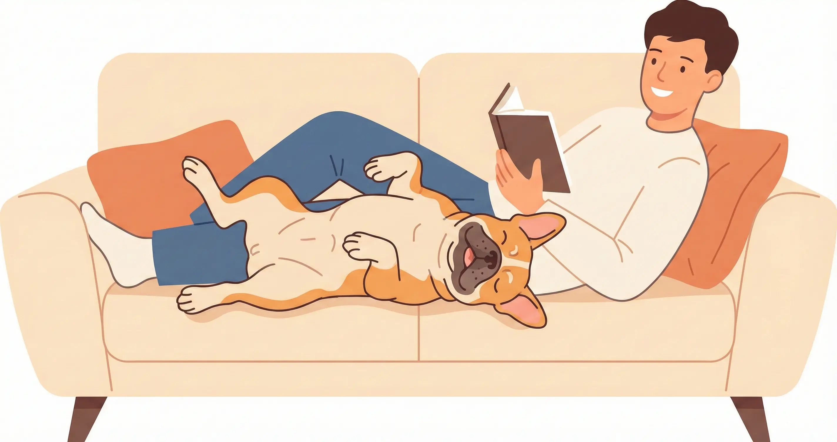 집사 옆에 딱 붙어 있거나 우스꽝스럽게 자는 프렌치 불독