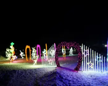 평창 송어축제_7