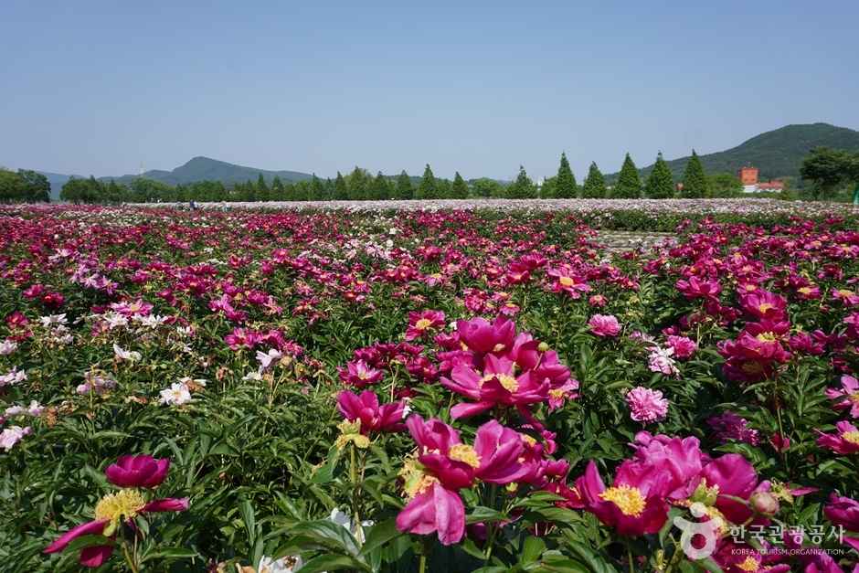 핫들생태공원