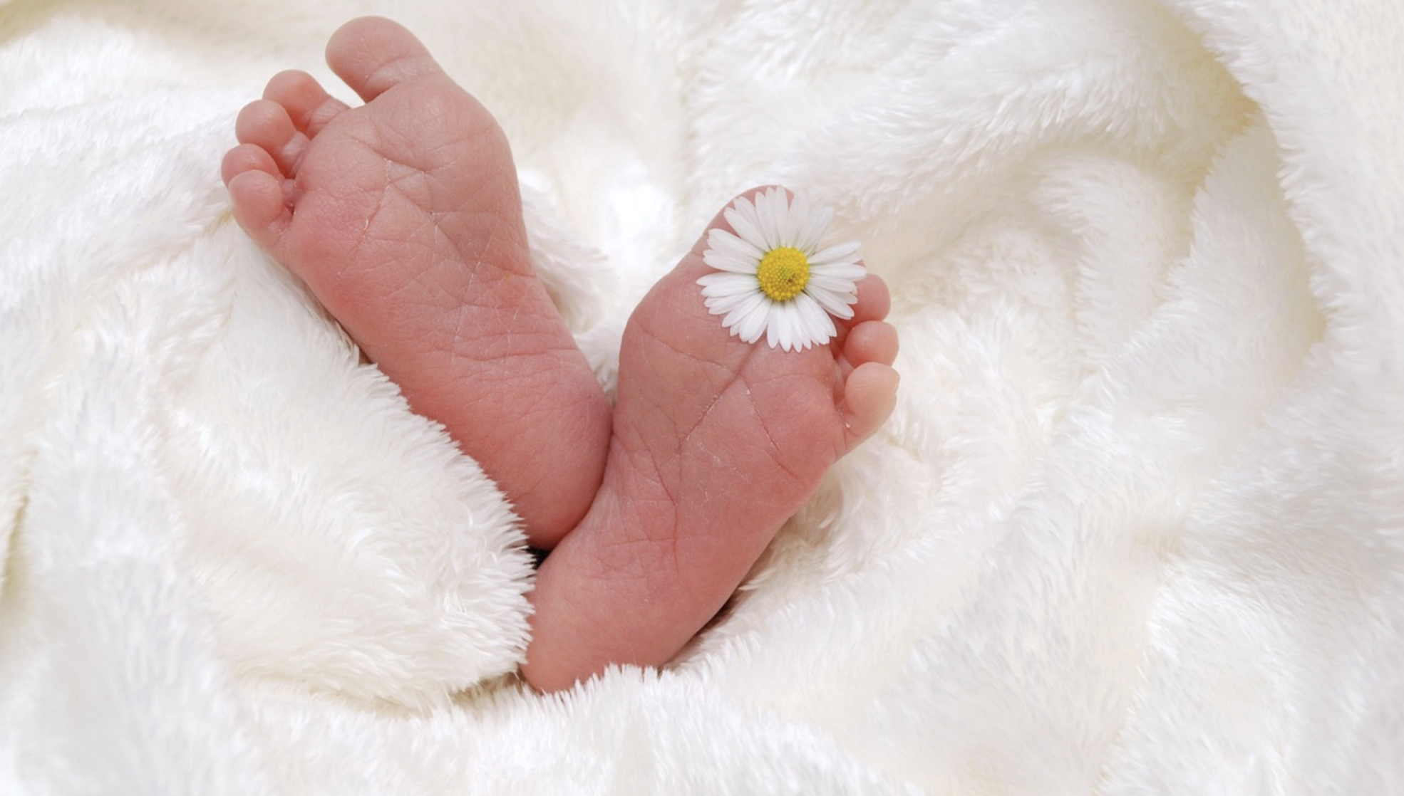 2025 기저귀·조제분유 지원 카드 바우처 연계카드