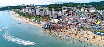 보령 머드축제 일정