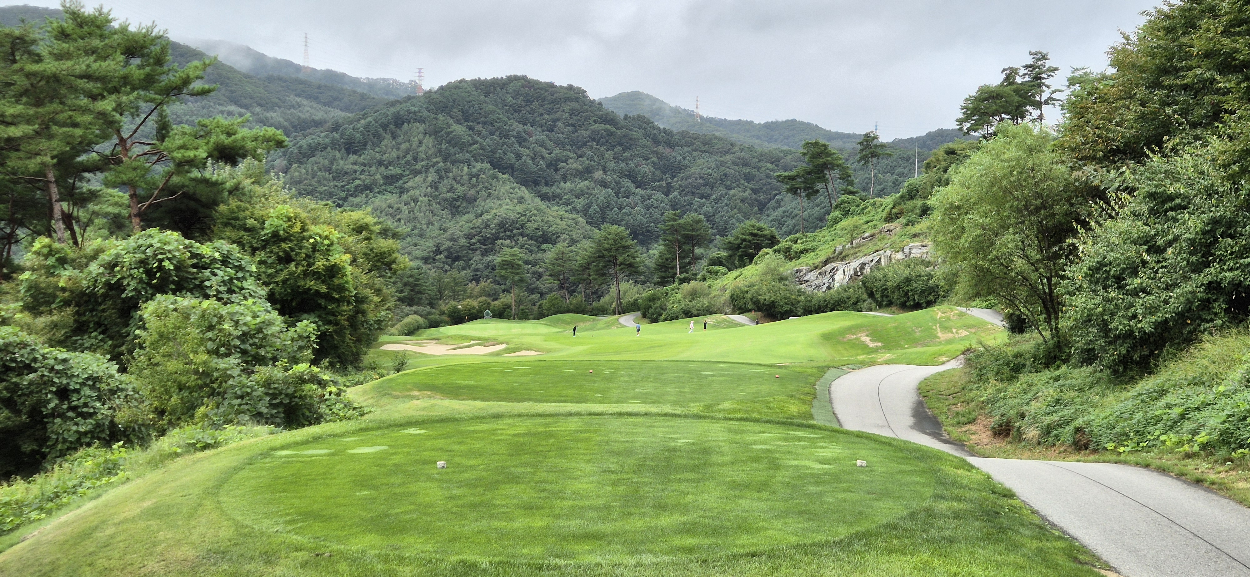 더플레이어스cc