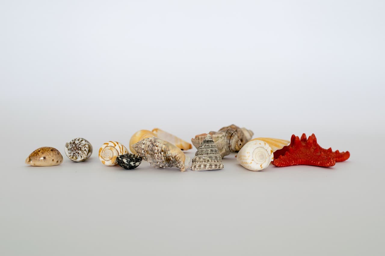 나전칠기의 새로운 변신: 스마트폰 케이스부터 모던 가구까지