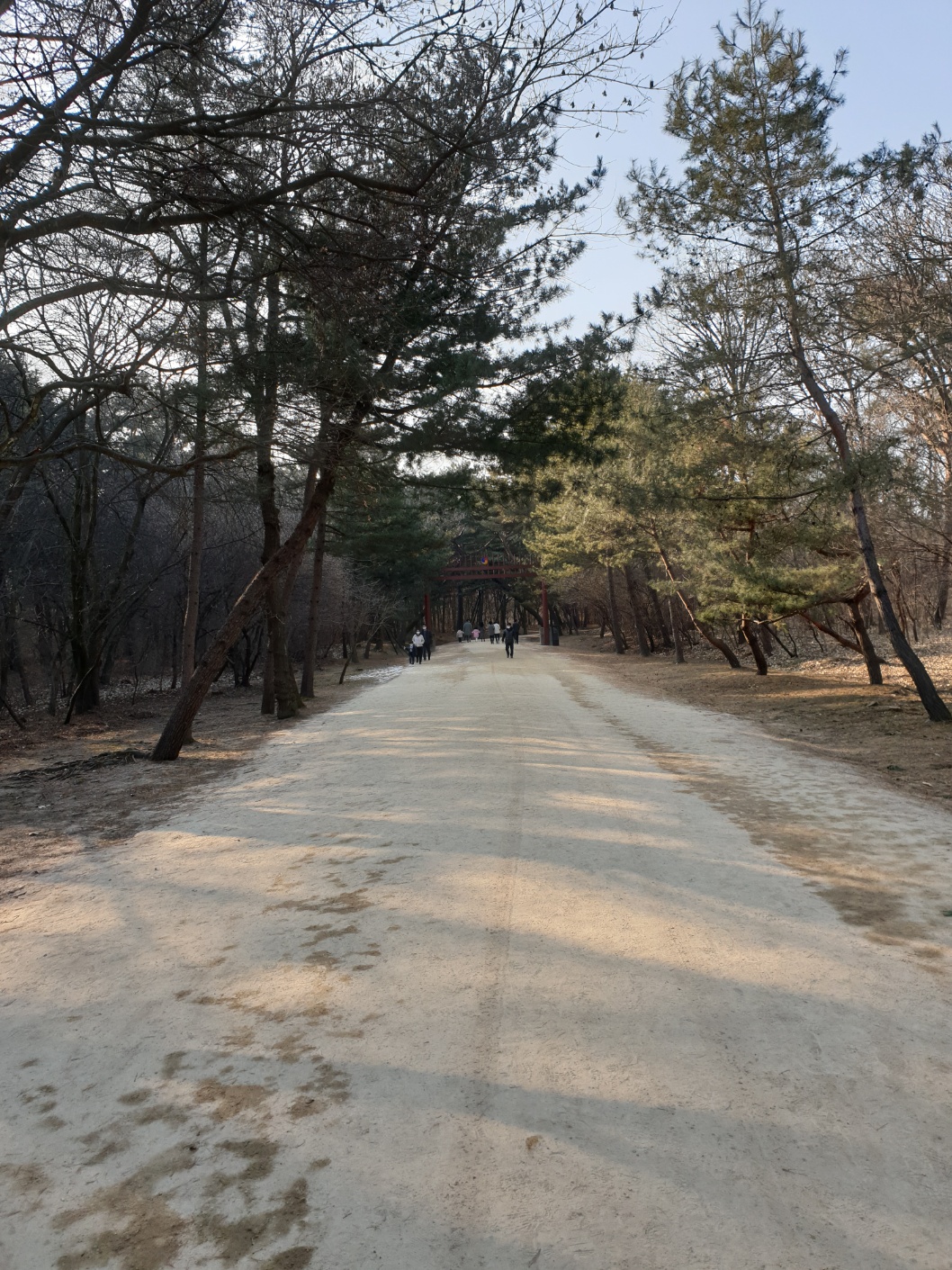 “구리 동구릉 숲길의 흙길 산책로 모습 – 자연 흙길로 조성된 부드러운 산책로에 사람들이 걷고 있는 풍경”
