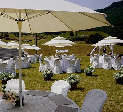 정선 로미지안가든 입장료 예약방법