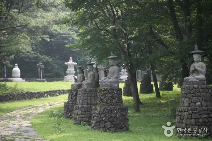 제주 관음사