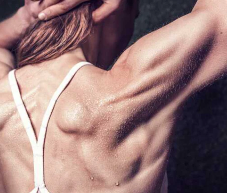 공진단-효능-먹는법-건강