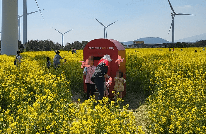 봄꽃 축제 하는 곳