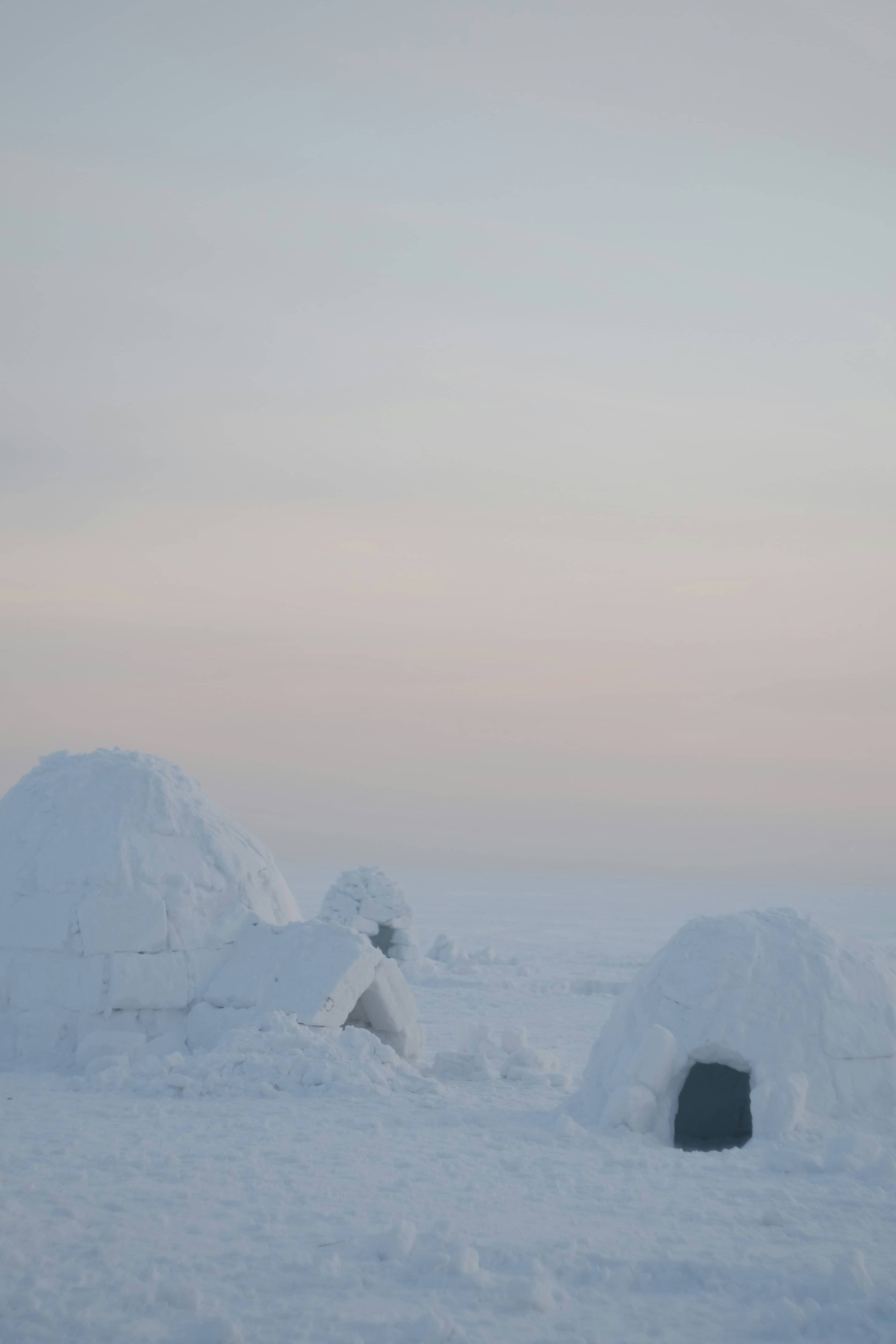 북극 원주민의 전통 의학과 현대 의료 시스템의 융합