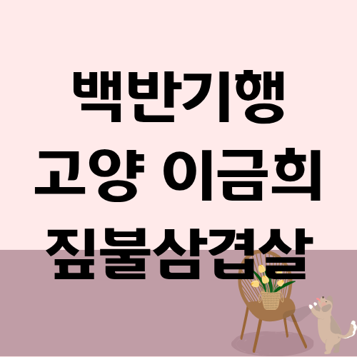 백반기행 고양 짚불삼겹살 이금희