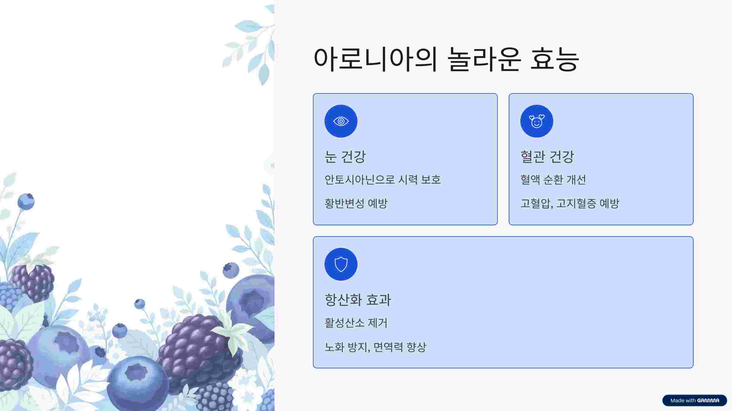 아로니아-효능효과