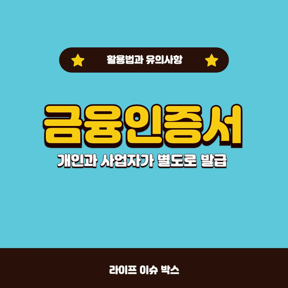 금융인증서, 사업자와 개인의 차이점