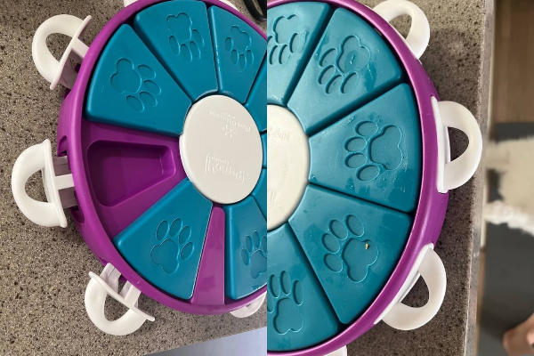 강아지_노즈워크