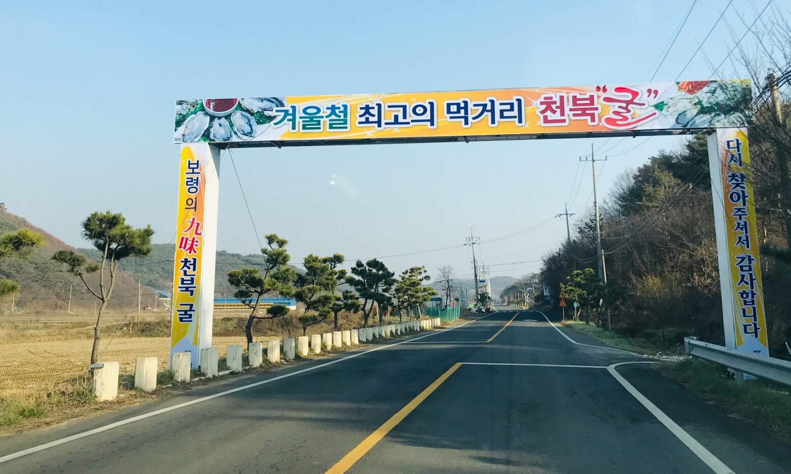 천북 굴단지 맛집