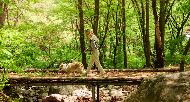 국내 힐링 여행지 추천 6선, 마음챙김과 명상을 위한 진짜 쉼의 공간