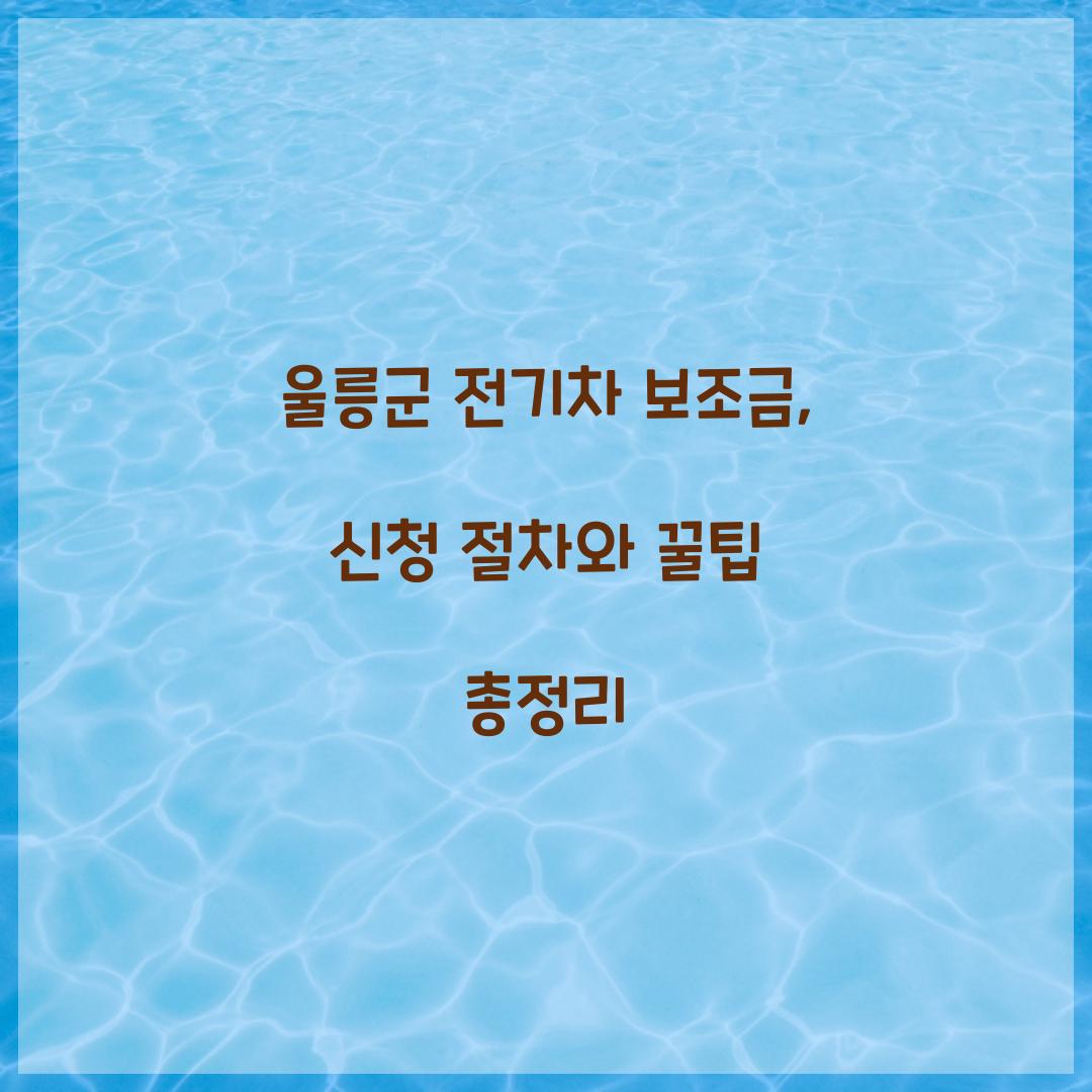 울릉군 전기차 보조금