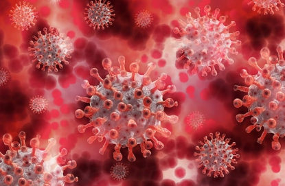 니파바이러스(Nipah Virus) 정보 & 감염 예방법