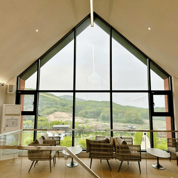 용인 자작나무숲