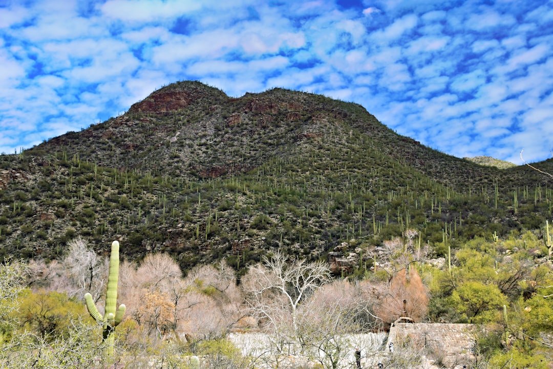 Tucson