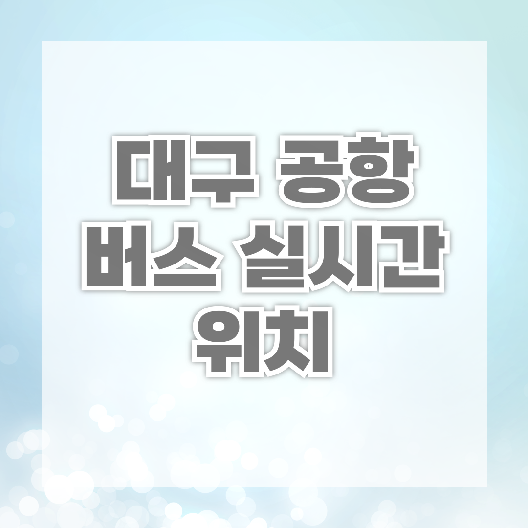 대구 공항버스 실시간 위치