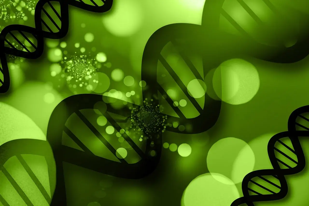 유전자 검사비용