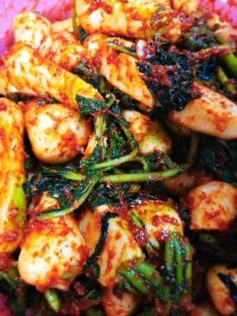 알타리김치 맛있게 담는법에 대한 김치비법_3