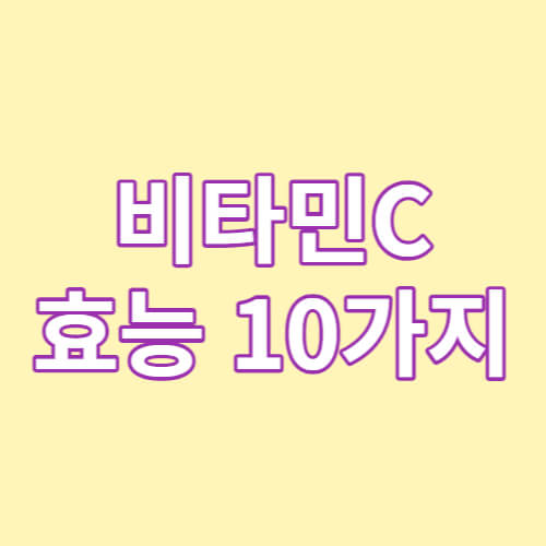 비타민C 효능 10가지
