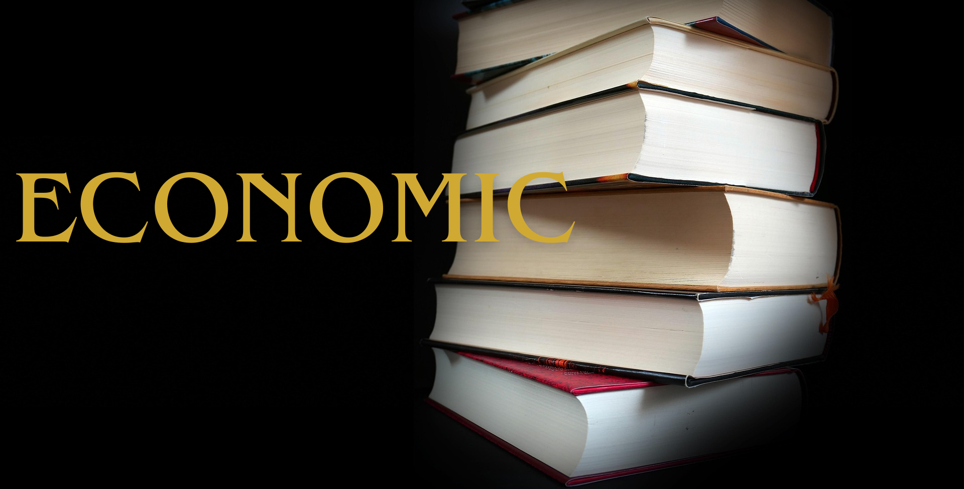 경제책관련사진