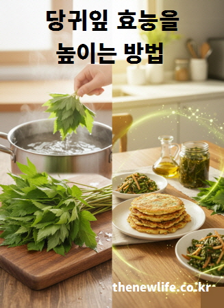 당귀잎 효능을 높이기 위한 조리 과정으로, 데치기·부침·장아찌 등 다양한 활용법을 보여주는 이미지