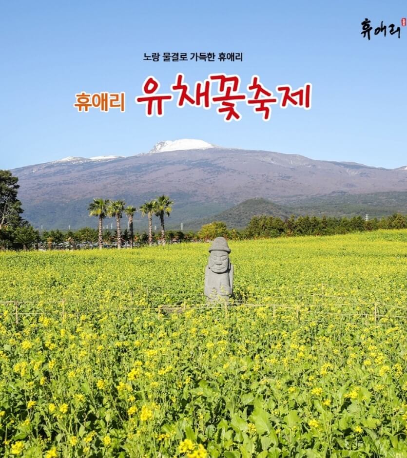 휴애리 유채꽃 축제 포스터
