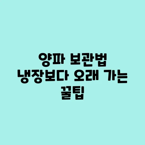 양파 보관법 냉장보다 오래 가는 꿀팁