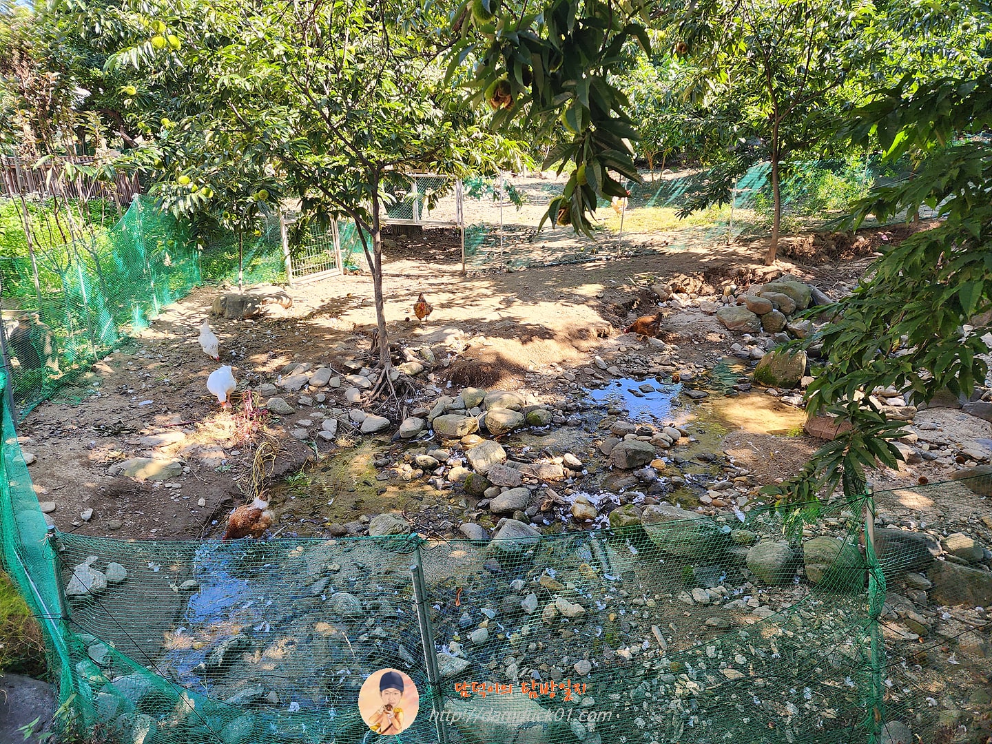 테라로사 커피공장 강릉본점 정원