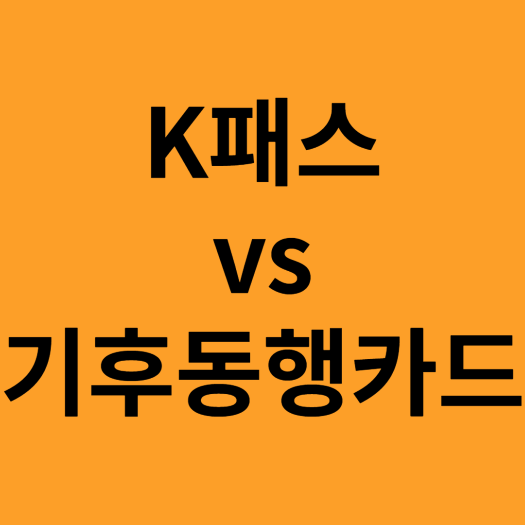 K패스 vs 기후동행카드