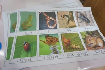 곤충과 동물의 차이점 생물 분류 기준과 이해 돕기_11