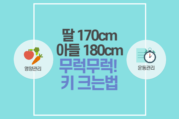 키 크는 방법