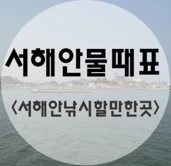 서해안 물때표 2025 조수간만 갯벌체험 낚시 일정 정리_4