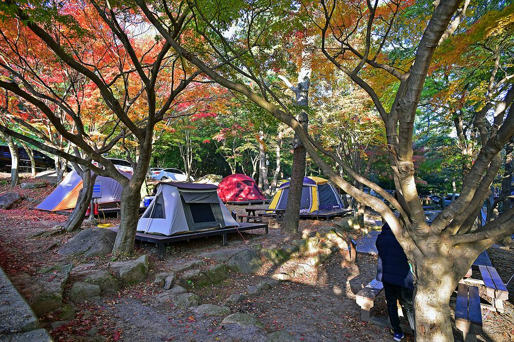 월출산국립공원 천황야영장

전라남도 영암군 영암읍 천황사로 280-73