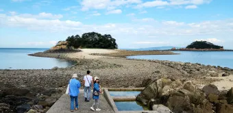 소야도 물때표 여행 낚시 해루질 배편_12