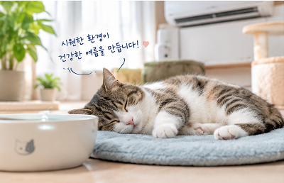 냥이들 재채기와 기침 원인 감기부터 병원 진료가 필요한 증상까지 총정리