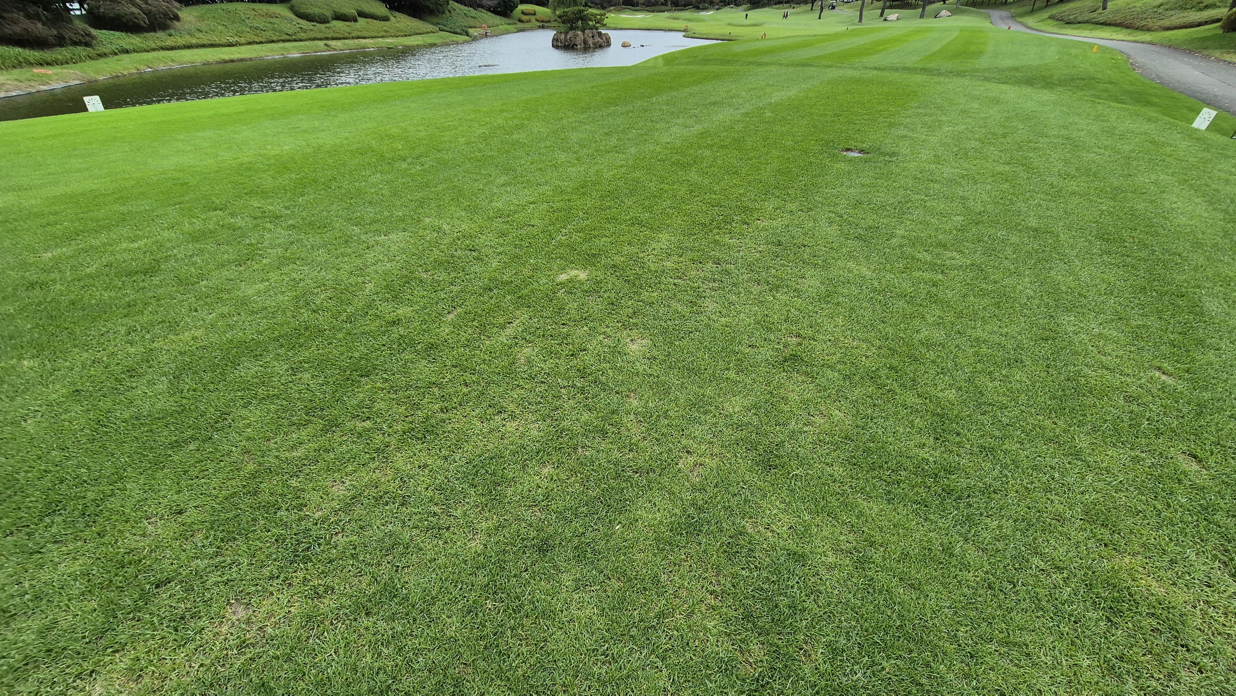 파인스톤cc 티잉구역 상태