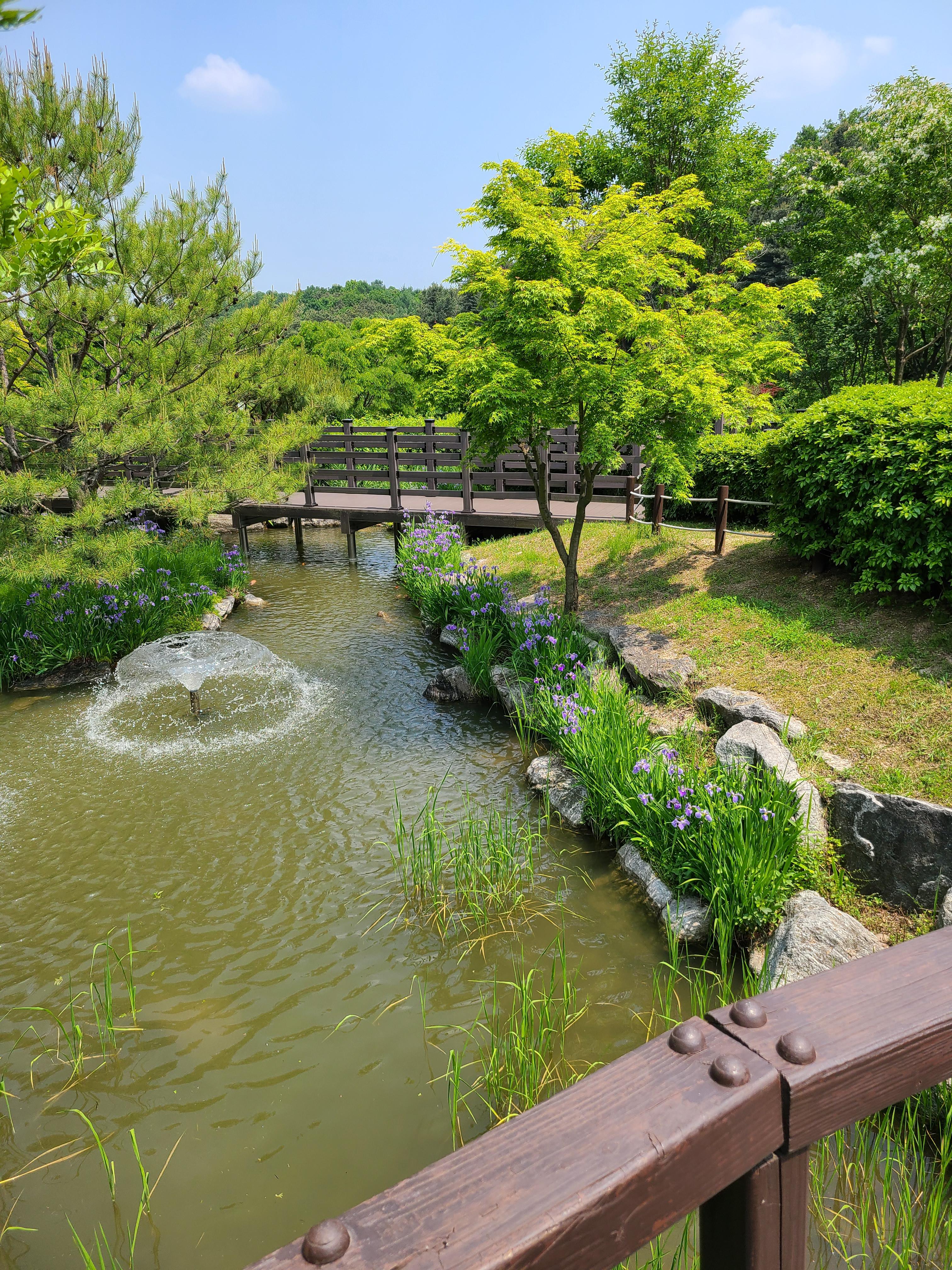 용인 농촌 테마파크 연못