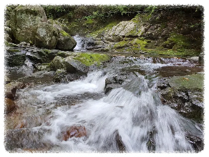 지리산자연휴양림