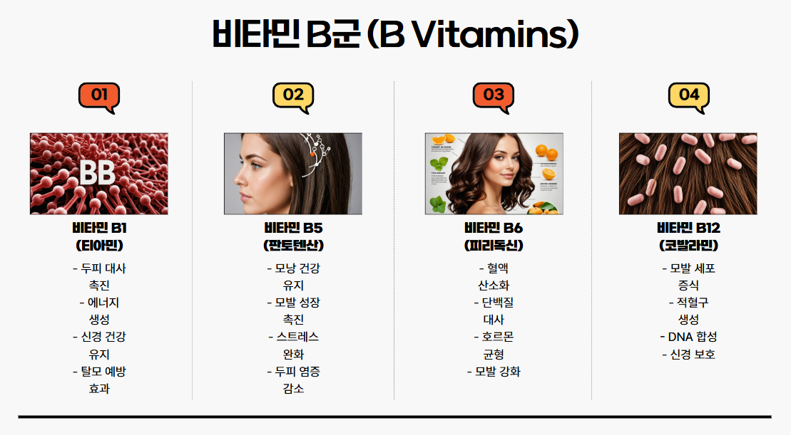 비타민 B군 (B Vitamins)