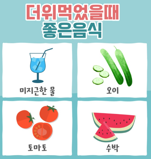 더위먹었을때 타이레놀 약 괜찮을까 온열질환 증상 대처 음식 병원 총정리4