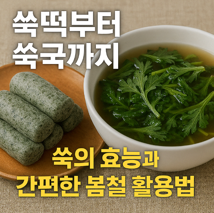 쑥의-효능과-봄철-활용법-주제의-이미지