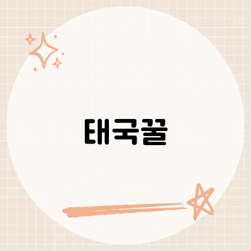 태국꿀, 이곳에서만 맛볼 수 있는 특별한 풍미의 비밀은?