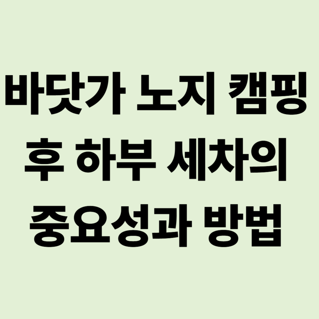 바닷가 캠핑의 불청객 '염분': 하부 세차 안 하면 차 10년 늙습니다
