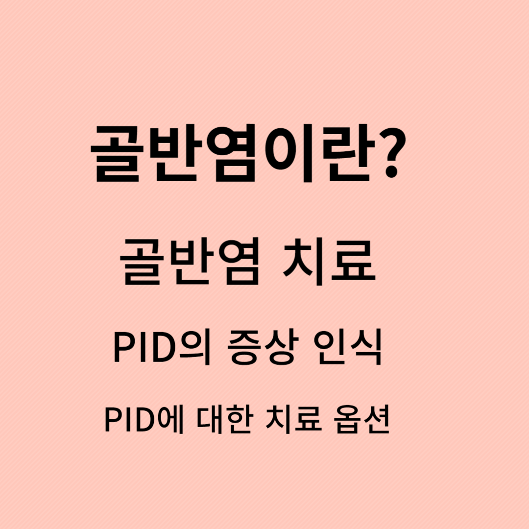 골반염,골반염 증상,골반염 검사,골반염 원인,골반염 치료,골반염 통증,골반염증,여자 골반염